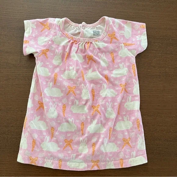 Adorable Pink Bunny and Carrot Dress - Picture 1 of 3